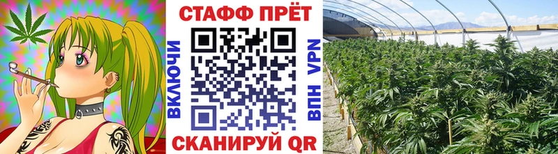 Купить наркотики сайты Луга Канабис Меф мяу мяу Alpha PVP АМФЕТАМИН МДМА Кодеин КОКАИН Гашиш