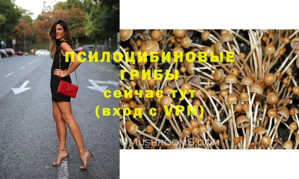 стаф Абинск