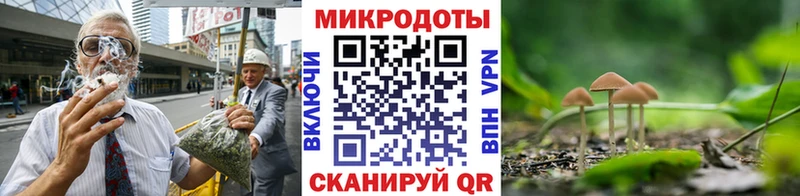 Галлюциногенные грибы Psilocybine cubensis  купить наркоту  Луга 